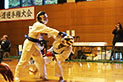 2015年11月22日 第27回 所沢市空手道選手権大会