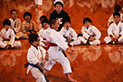2016年11月27日 第28回 所沢市空手道選手権大会